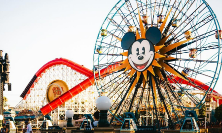 how much money does disneyland make a day